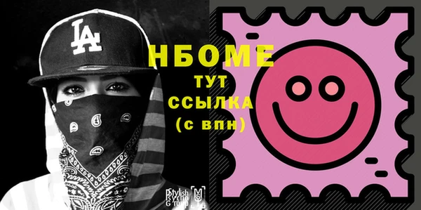 хмурый Абаза