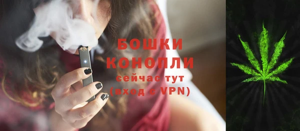 хмурый Абаза