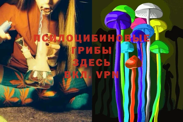 хмурый Абаза