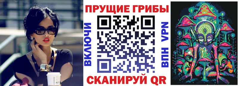 это как зайти  KRAKEN ТОР  Ростов-на-Дону  Галлюциногенные грибы мицелий 